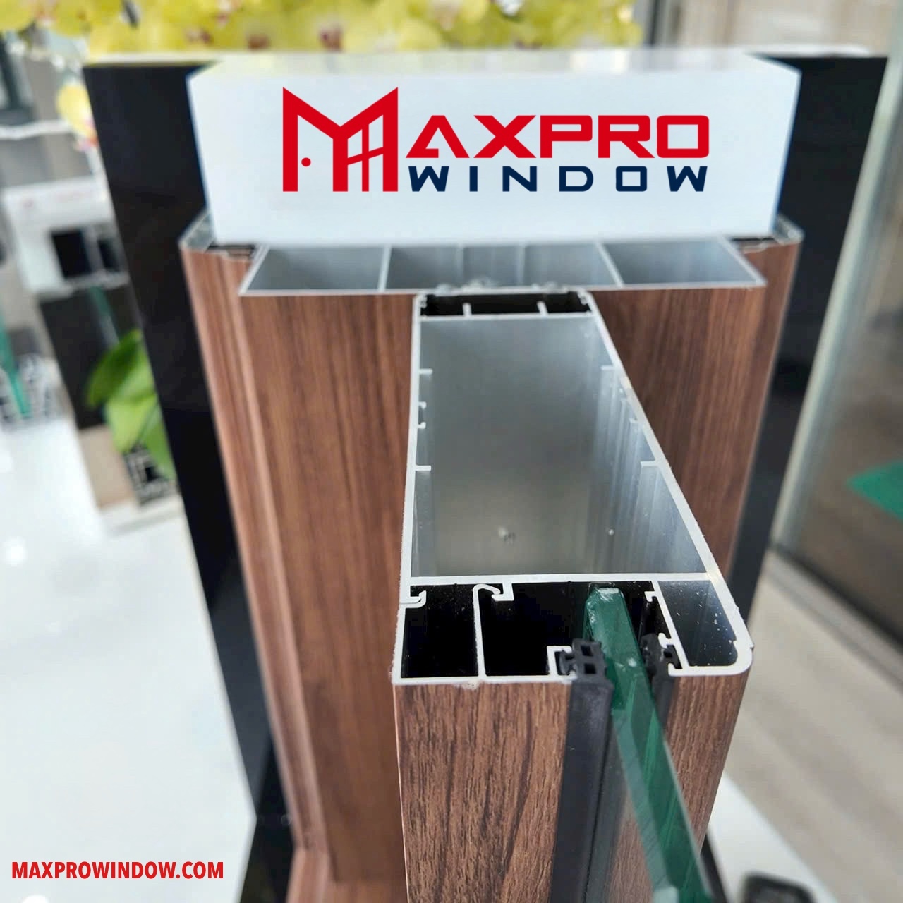 Maxpro Window - Đa dạng mẫu mã
